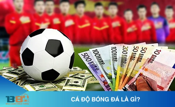 Thể thao B8 - Cá cược bóng đá, thể thao ảo trực tuyến 1 Cá độ bóng đá