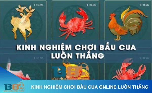 Cách chơi bầu cua online chuẩn xác nhất 2 Hướng dẫn cách chơi bầu cua online đơn giản